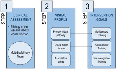 A Multidimensional, Multisensory and Comprehensive Rehabilitation Intervention to Improve Spatial Functioning in the Visually Impaired Child: A Community Case Study